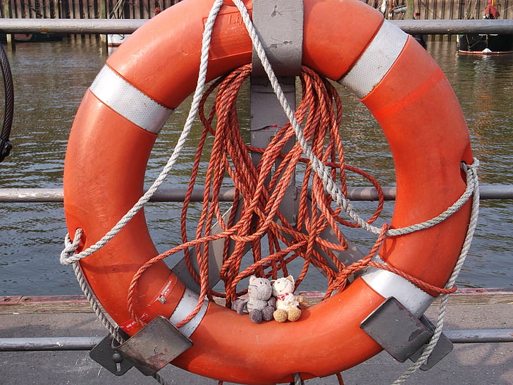 gelbėjimosi diržas, Hamburgas, katė, iškamša, oranžinė, vandens, Minkštasis žaislas