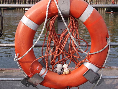 záchranný pás, Hamburk, kočka, vycpané zvíře, oranžová, voda, Plyšová hračka