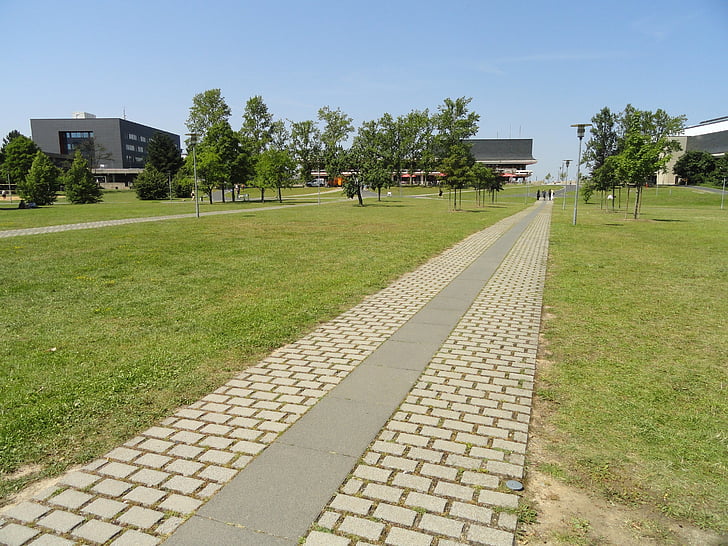 Würzburg, Niemcy, krajobraz, Campus, trawa, drzewa, budynki