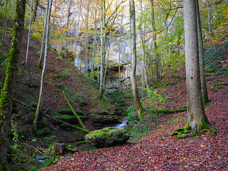 elsach, rivière, Grotte de Falkensteiner, Bade Wurtemberg, Jura Souabe, stetten grave, Bad urach