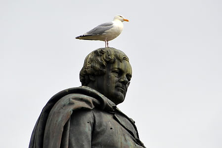 OConnel, Dublin, Irlanda, estatua de, Seagull, Figura, ciudad