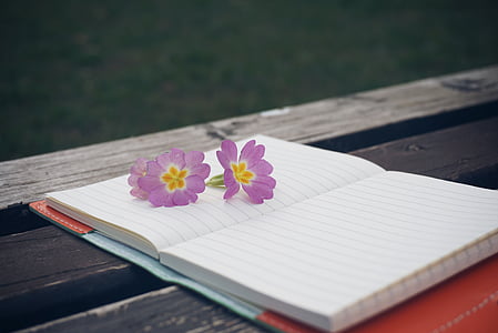 penkki, kukka, Notebook, kynä, puinen, Muistio, puinen pöytä