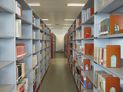Hubei provintsi Raamatukogu, hoone, Raamatukogu