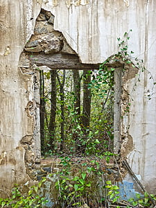 okno, ruiny, opuszczony roślinności, winorośl, porzucenie, opuszczony dom, puste okno