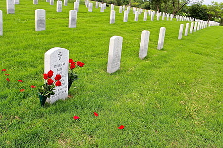 kirkegård, militære, kirkegård, Memorial, soldat, krig, gravsten