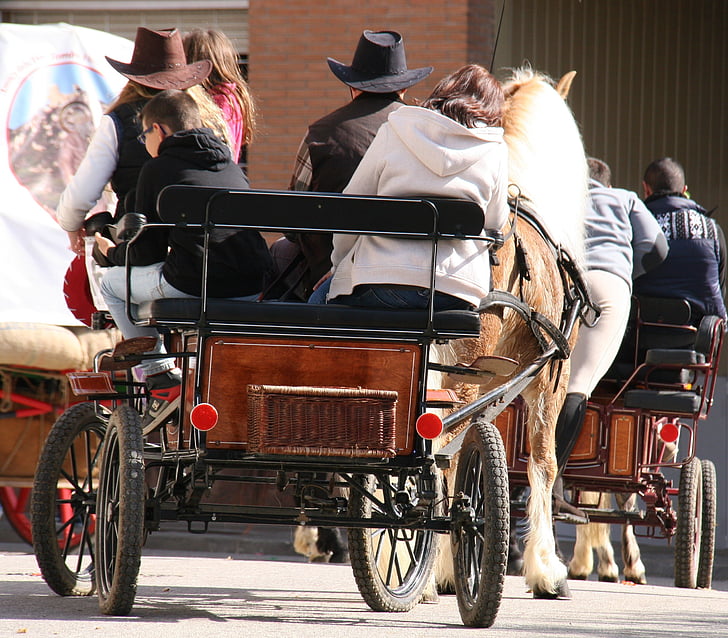 horse-drawn carriage, horse party, in family