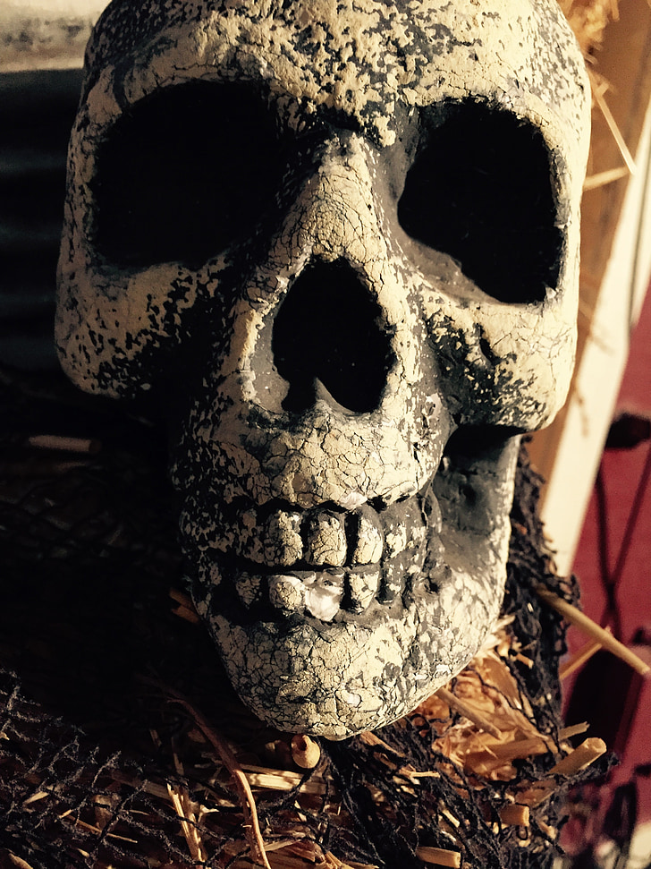 kranium, Halloween, Halloween baggrund, død, skræmmende, spooky, skelet