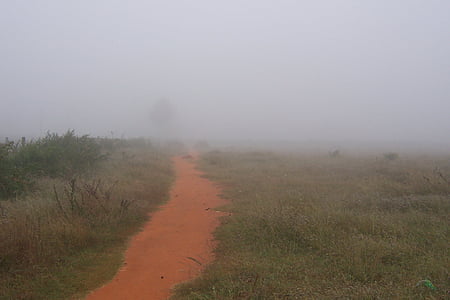 路径, 雾, 自然, 有雾, 赛季, 天气, 早上