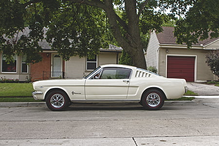 Blanco, Ford, Mustang, estacionado, cerca de, verde, alto