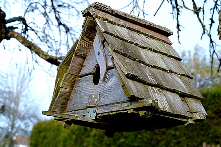 aviary, feeding place, vacation, nature conservation, black forest, late autumn, birdhouse