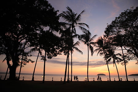 tramonto, Kotakinabalu, mare, legno, palme, sagoma, spiaggia