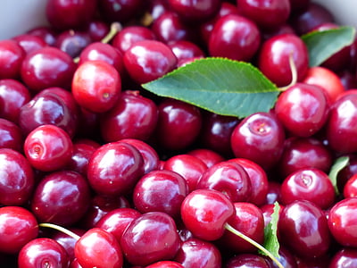 cherry, sweet cherry, red, fruit, healthy, leaves, branch
