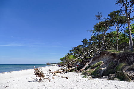Mar Báltico, Playa del oeste, Fischland-darss, Parque Nacional, Playa, mar, naturaleza