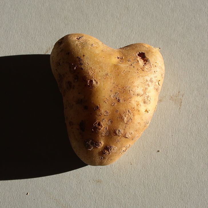 hjärtat, Kärlek, symbol, potatis, tuber