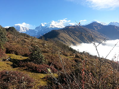 natureza, beleza de Nepal, aventura, montanha
