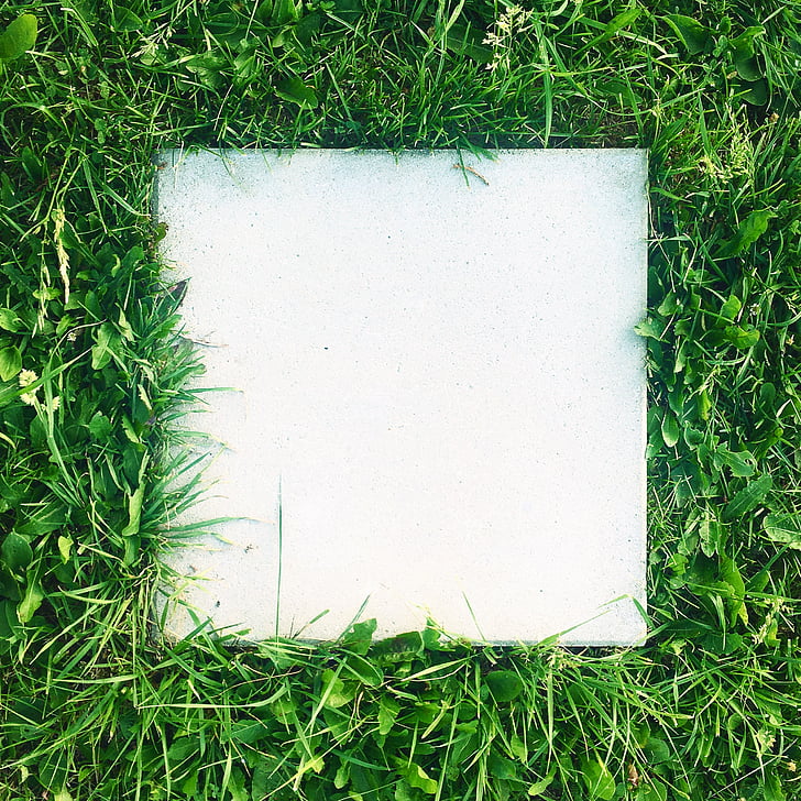 grass, concrete, tile, green, natural, exterior, plain