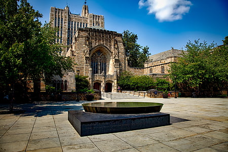 Universitat de Yale, paisatge, universitats, escoles, col. legis, Campus de, l'educació