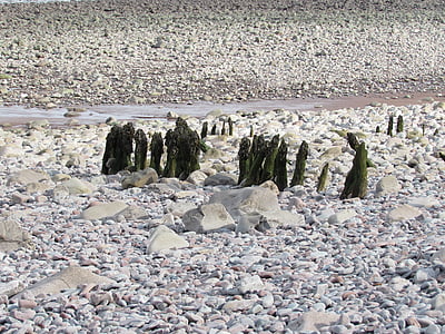 stones, beach, stony beach, sea, nature, ocean, rock