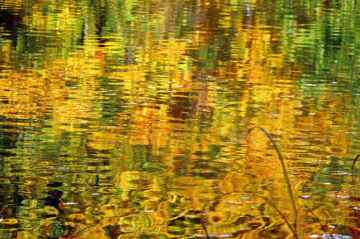 otoño, follaje de otoño, agua, Lago, estanque, espejado, aguas