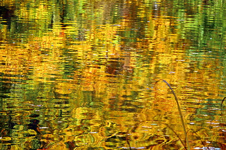 podzim, padajícího listí, voda, jezero, rybník, zrcadlení, vody