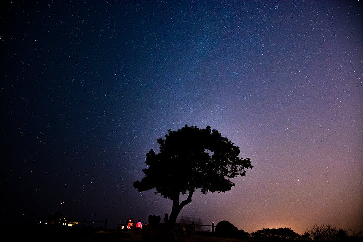 silhouette, photo, tree, near, tent, night, sky