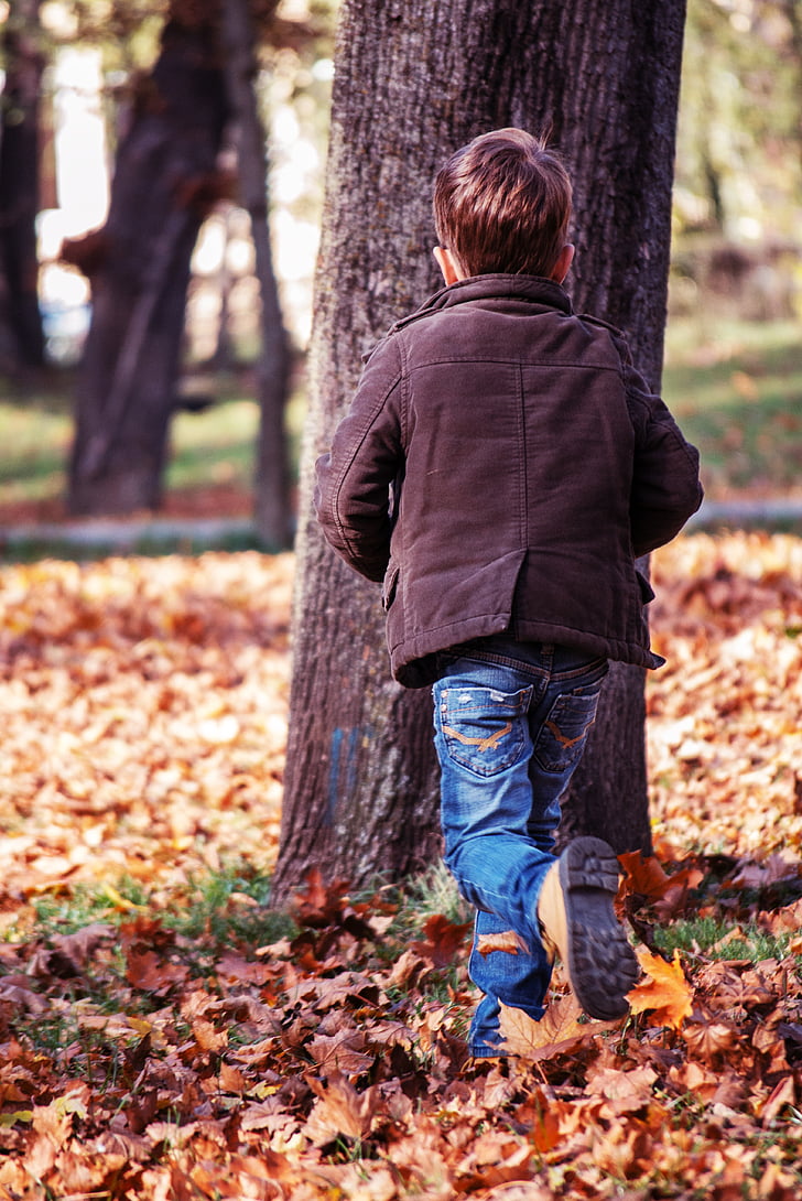 toddler running towards a tree, park, autumn leaves, nature, toddler, child, running