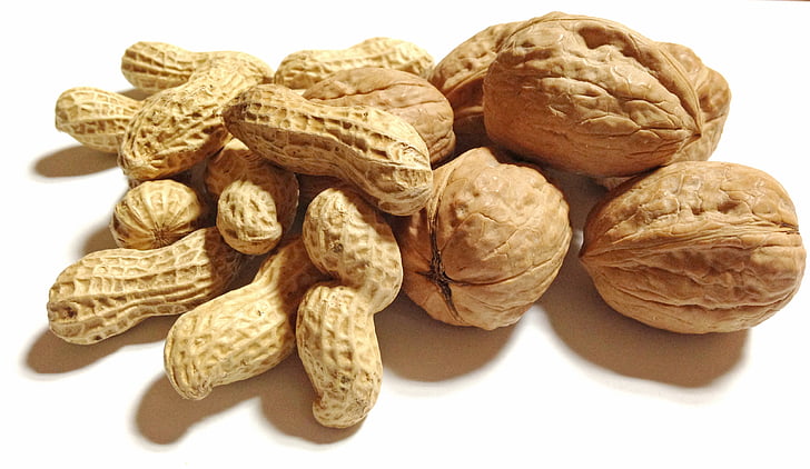 food, nuts, peanut, walnut