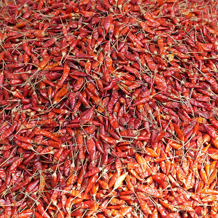 Chili, Gewürz, Markt, scharfe, rot, Burma, Myanmar