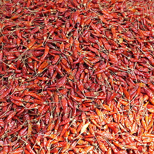 Chili, koření, trh, ostré, červená, Barma, Myanmar