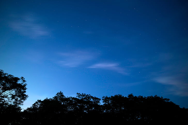 Fotograafia, sinine, taevas, tähed, siluett, puud, Sunset