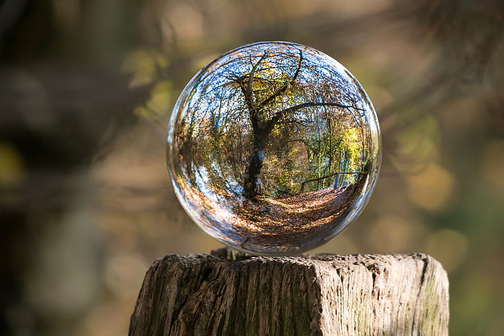 sklenená guľa, jeseň, strom, pokrútené, obrázok zemegule, sférickej fotky, lopta