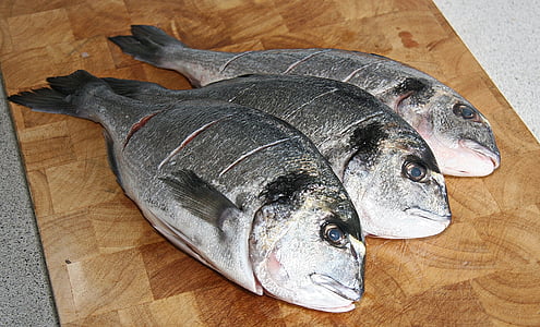 dourado, fish, mediterranean, dining, food, ready for frying, cooking