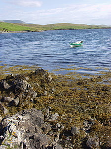 Islas Shetland, Escocia, mar, Costa, Costa, paisaje, barco