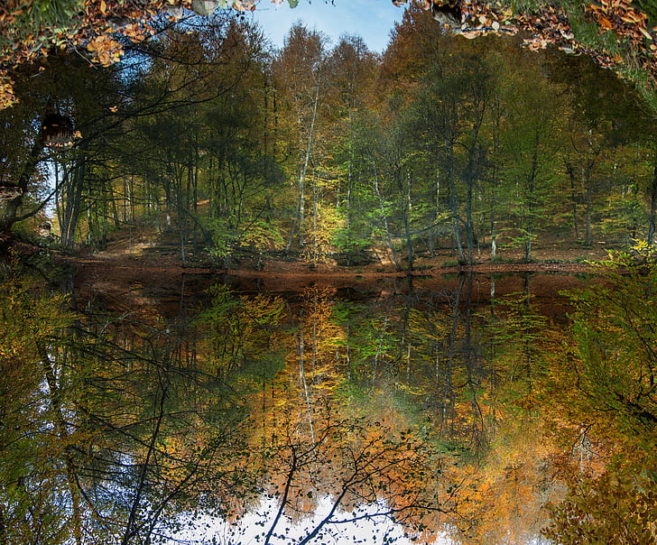 Les, řeka, Kennedy, vodopád, listopadu, listy, podzim