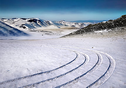 tragove, u slalomu, studen, polje, snijeg, Zima, hladno