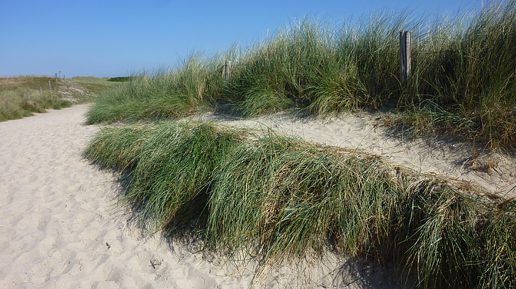 Mar do Norte, Sylt, areia, gramíneas, dunas