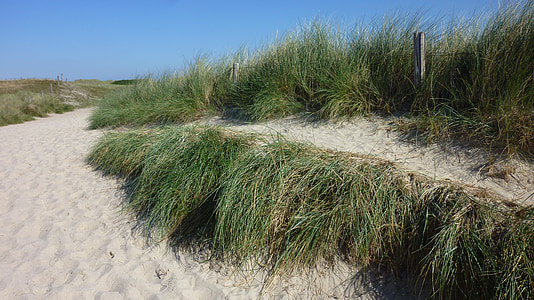 mer du Nord, Sylt, sable, graminées, dunes