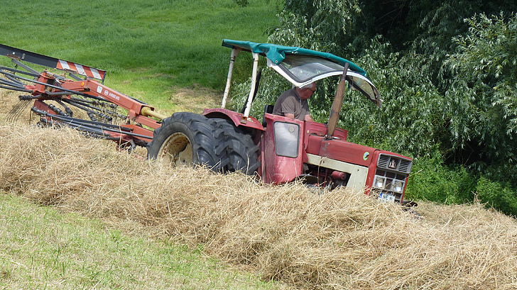 hay, cattle feed, summer, tractors, tractor, dried grass