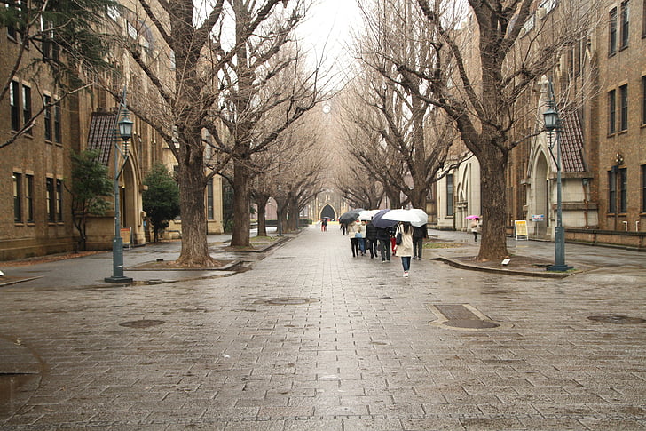 University of tokyo, történelem, Japán, utca, városi táj, az emberek, város