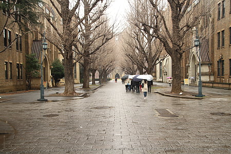도쿄 대학, 역사, 일본, 거리, 도시 현장, 사람들, 도시