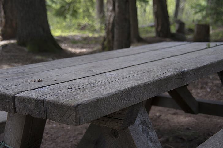 piknik, Tabel, pikniku laud, loodus, puidust, stseen, tee ääres