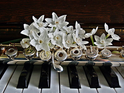 piano, flute, jonquils, flowers, keys, black, white
