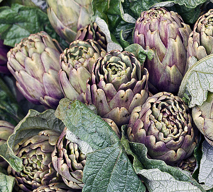 artichokes, italy, vegetables, food, organic, agriculture, vegetarian
