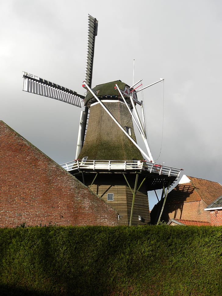 Holanda, moinho, Países Baixos, moinho histórico, moinho holandês, Groningen