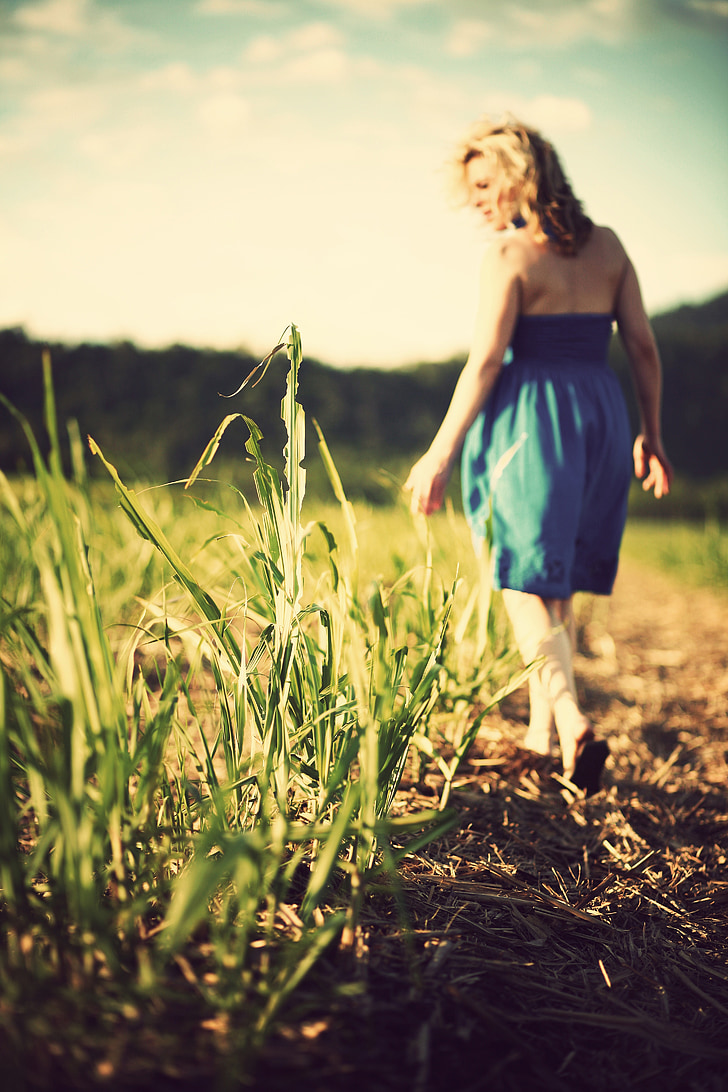Děvče, Žena, pole, tráva, Příroda, Sunshine, slunečno