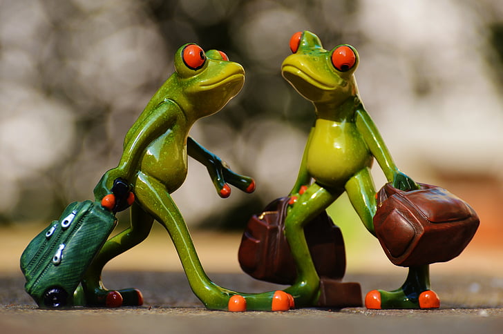 frogs, funny, travel, luggage, holdall, go away, holiday