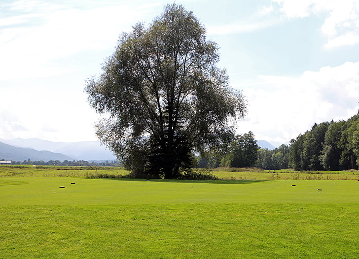 landscape, chiemgau, tree, individually, meadow, distant view, distant