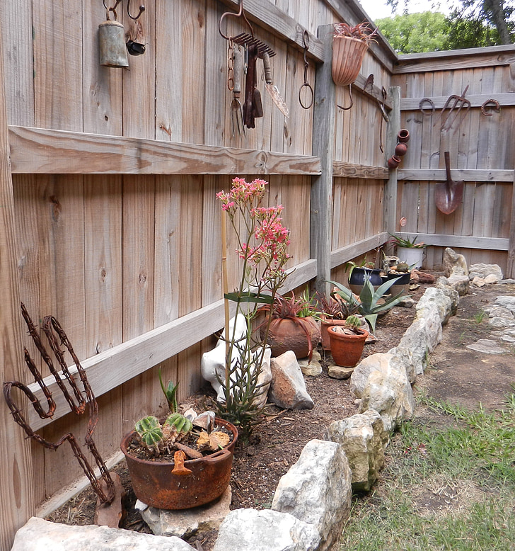 кактус, Градина, рок, селски, дизайн, ограда, дървени