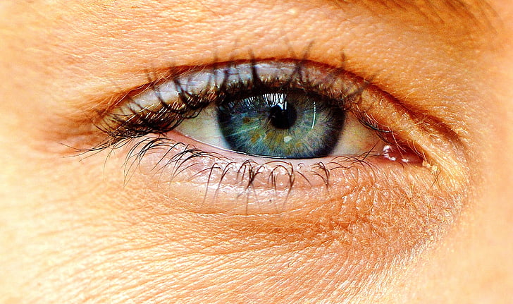 silmä, sininen, harmaa, Sulje, silmäripset, näkymä, ihmisen silmä