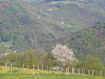 Valle partije, Cantal, Francija, narave, drevo, hrib, podeželja scena